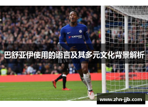 巴舒亚伊使用的语言及其多元文化背景解析 巴舒亚伊使用的语言及其多元文化背景解析