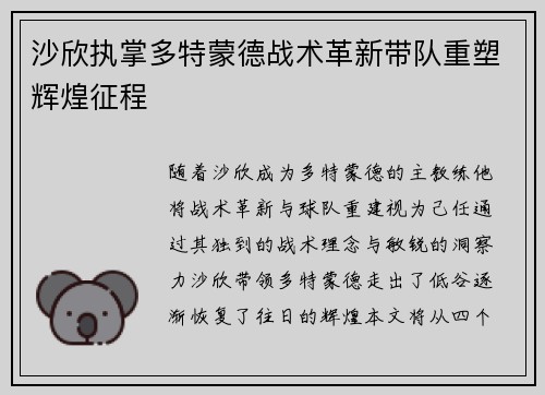 沙欣执掌多特蒙德战术革新带队重塑辉煌征程 沙欣执掌多特蒙德战术革新带队重塑辉煌征程